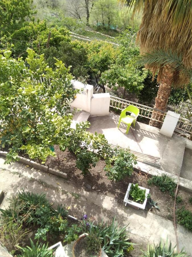 La Flecha Hostel Abrucena 외부 사진