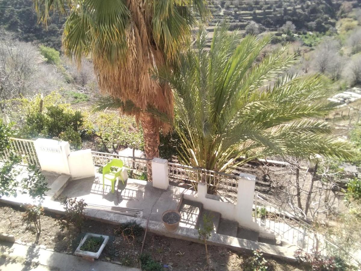 La Flecha Hostel Abrucena 외부 사진